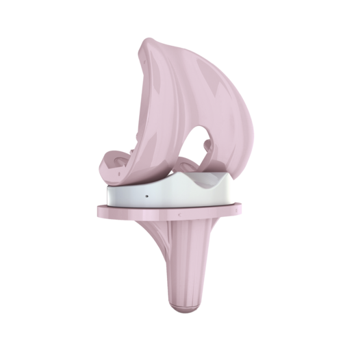BIOLOX® Bio Ceramic CeramTec-Medical