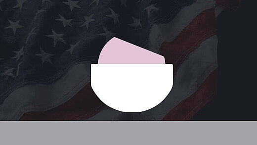 Icon of a ceramic‑on‑polyethylene bearing couple displayed over a U.S. flag, representing an overview of key takeaways from the AJRR Annual Report 2025 on hip arthroplasty trends.