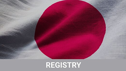 Close-up of the Japanese flag featuring a red sun disc and the word “Registry”.