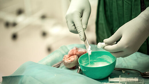 Orthopedic surgeons. Best health care managment in hospital. total hip arthroplasty with cement fixation of components