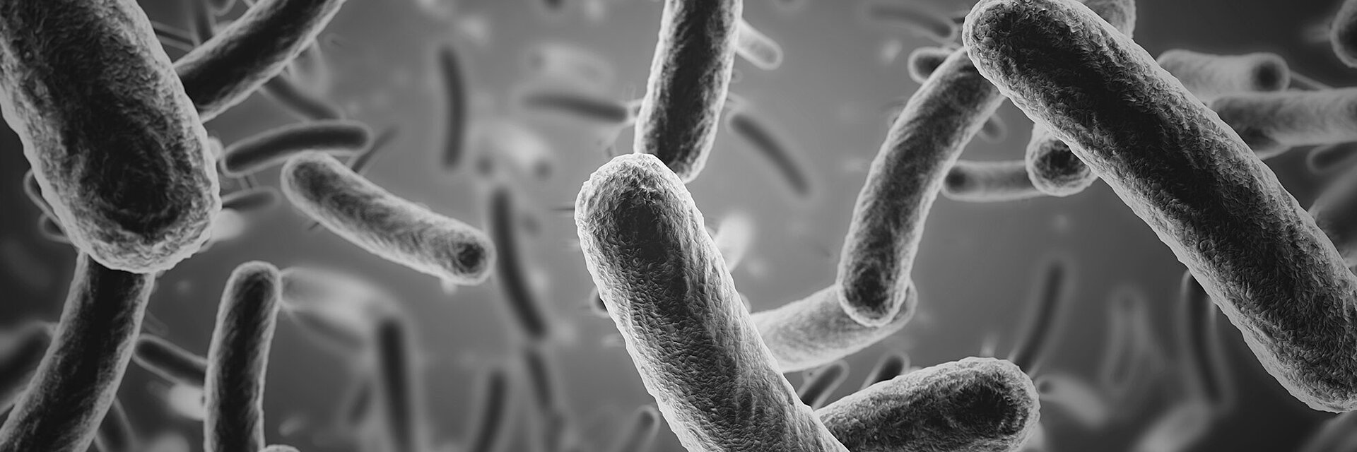 Black and white image of an artist impression of bacteria in fluid