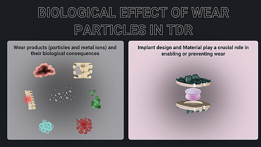 Detailed medical illustration presenting the biological impact of wear particles and metal ions in total disc replacement (TDR). The image is bifurcated into two sections: the left side visualizes various wear products and their associated biological responses; the right side highlights the implant design and biomaterial selection in mitigating wear.
