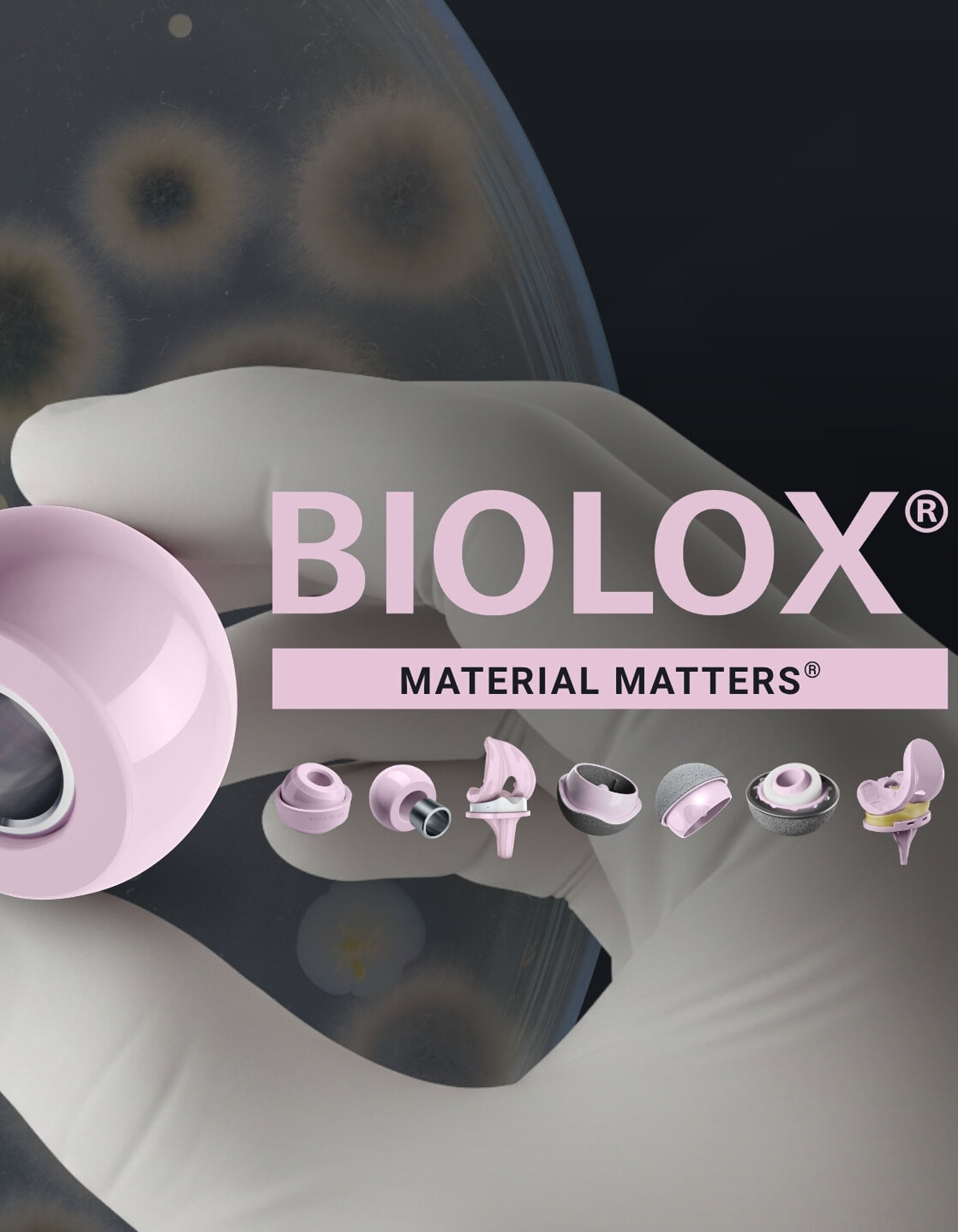 Gloved hand holding a BIOLOX®delta ceramic femoral head component against a blurred bacterial culture background.