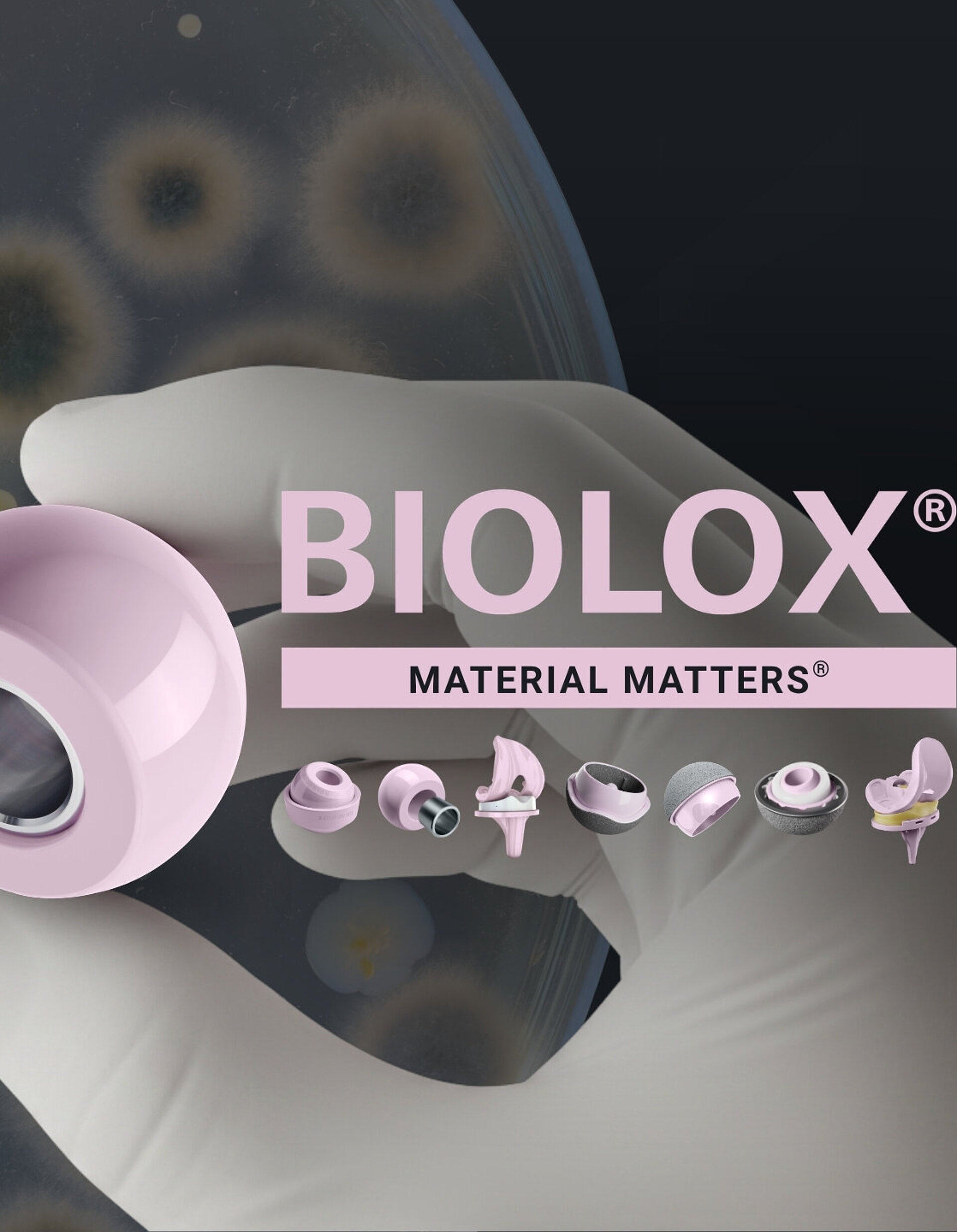 Behandschuhte Hand hält einen keramischen BIOLOX®delta-Femurkopf vor einem unscharfen Hintergrund mit Bakterienkulturen.