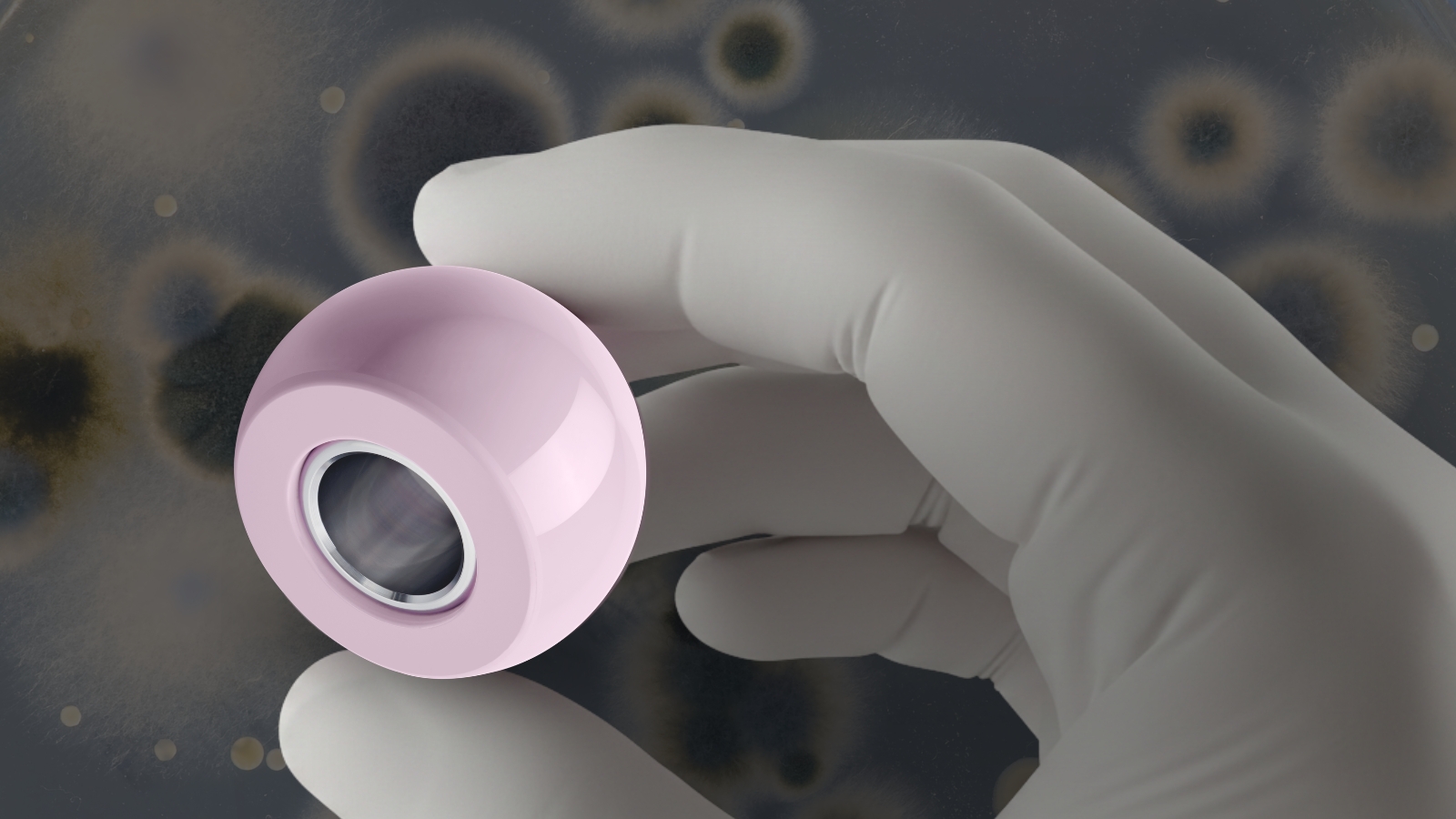Gloved hand holding a BIOLOX® ceramic femoral head alongside a row of ceramic orthopedic implant components