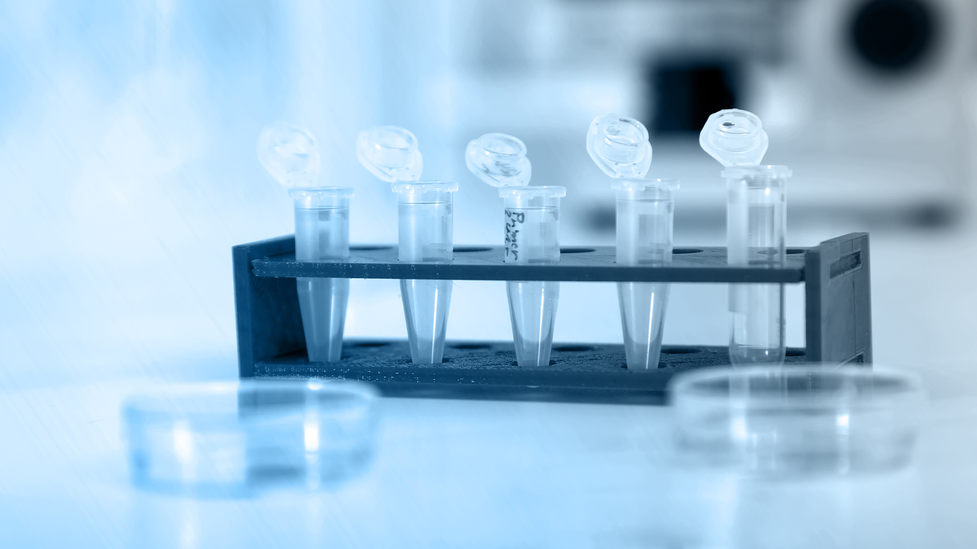 Skin Allergy Patch Test on Back of Patient